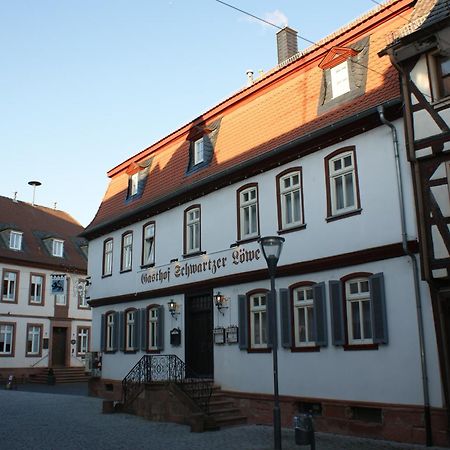 Hotel Schwartzer Loewe Babenhausen  Exteriér fotografie